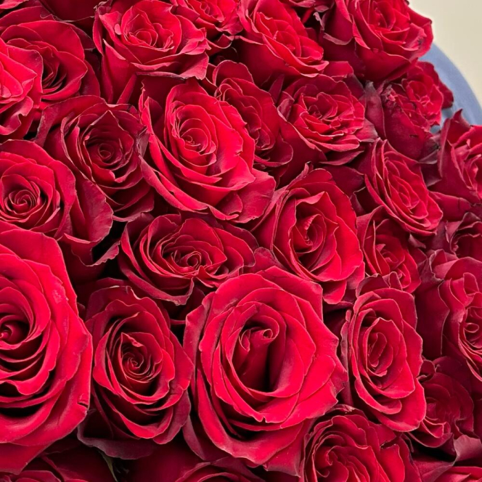 Buchet din 51 Trandafiri Roșii Premium Înalți H 80-90cm [2]