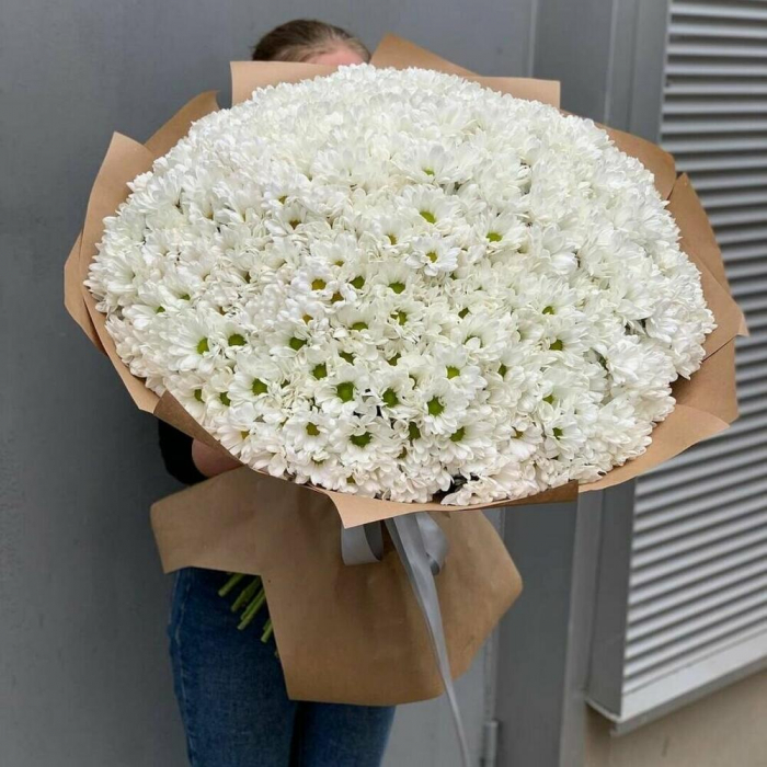 Buchet din 101 Crizanteme Albe [2]