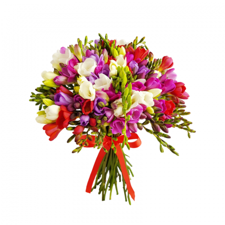 Buchete din Frezii - Buchet din 25 Frezii Multicolore