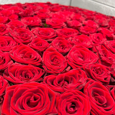 Cutie cu 101 Trandafiri Roșii [2]