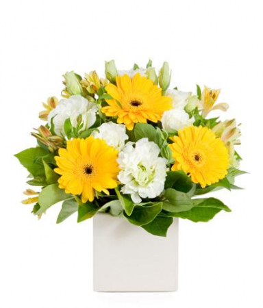 Ocazii - Aranjament Floral Alb-Galben de Sf. Maria
