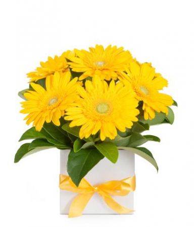 Ocazii - Aranjament Floral de Sf. Maria din 9 Gerbera Galbenă