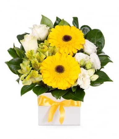Ocazii - Aranjament Floral de Vară pentru Maria
