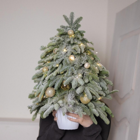 Brad de Crăciun Premium cu decorațiuni aurii și ghirlandă [2]