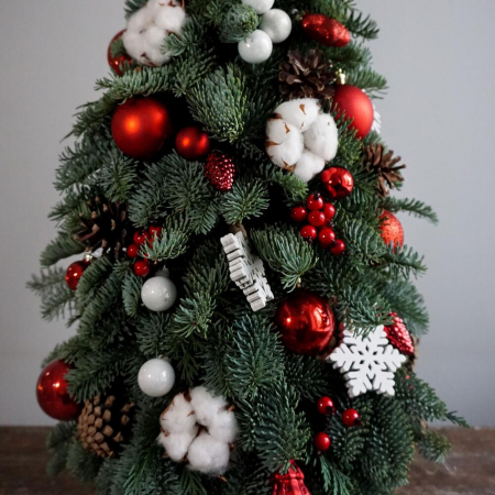 Brad de Crăciun din Nobilis cu Decor [1]