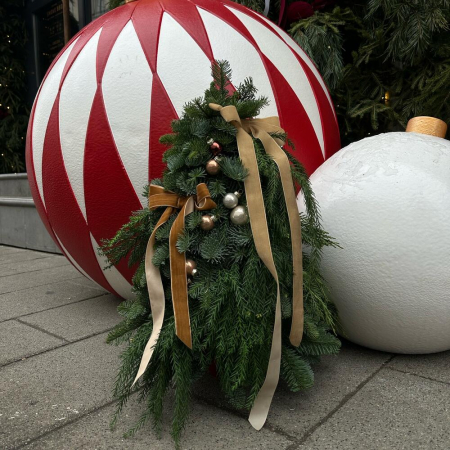 Brad din Nobilis pentru Crăciun [1]