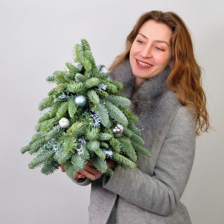 Brad de Crăciun din Nobilis 30cm [2]