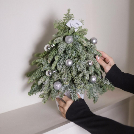 Brad Natural, Decor Festiv pentru Casă [3]