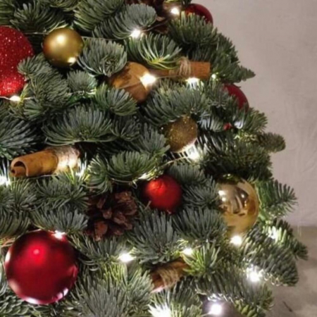 Pom de Crăciun cu Globuri Roșii, Aurii și Luminițe [2]