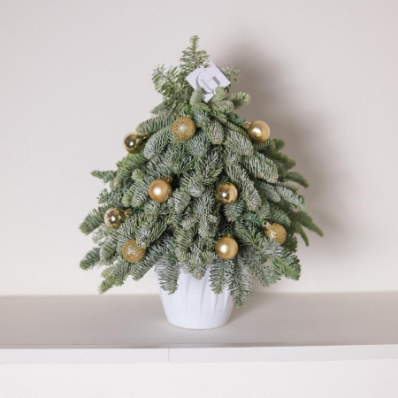 Brad Natural, Decor pentru Casă [3]