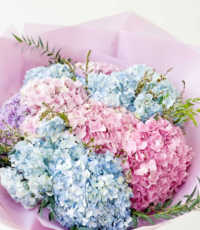 Buchet din 11 Hortensii de Sf. Andrei [1]
