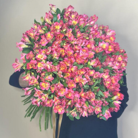 Buchete din Alstroemeria - Buchet din 101 Alstroemeria