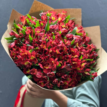 Buchete din Alstroemeria - Buchet Roșu din 35 Alstroemeria