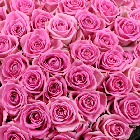 Buchet din 101 Trandafiri Roz [4]