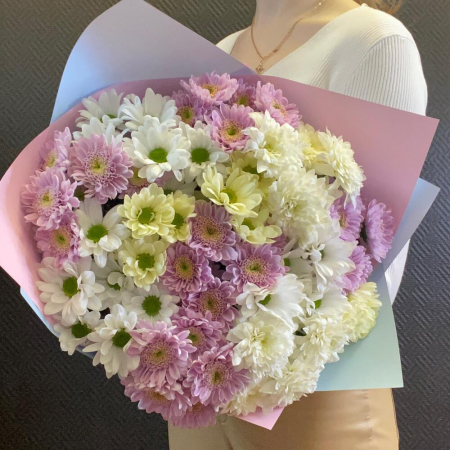 Buchete din Crizanteme - Buchet Alb-Roz din 11 Crizanteme