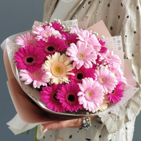Buchete din Gerbera - Buchet din 25 Gerbere Roz-Fuchsia București