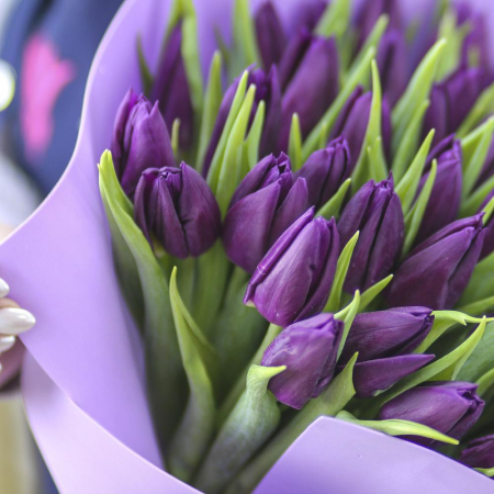 Buchet din 51 Lalele Mov [3]