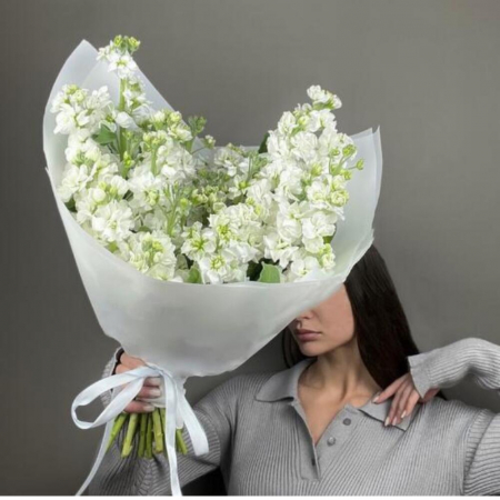 Buchete din Mixandre (Matthiola) - Buchet din 15 Mixandre Albe (Matthiola)