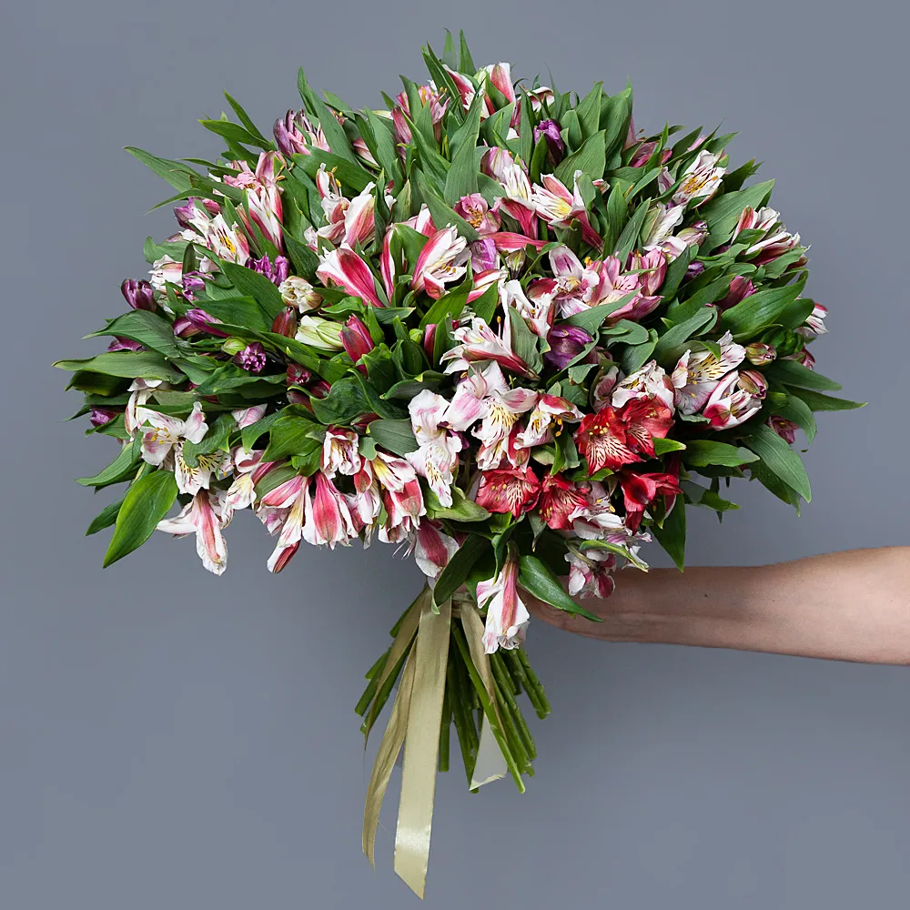 Buchete din Alstroemeria - Buchet din 51 Alstroemeria