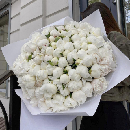 Buchete din Bujori - Buchet din 101 Bujori Albi