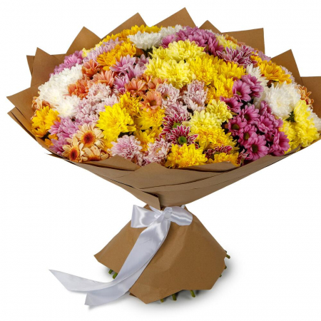 Buchete din Crizanteme - Buchet din 51 Crizanteme Multicolore