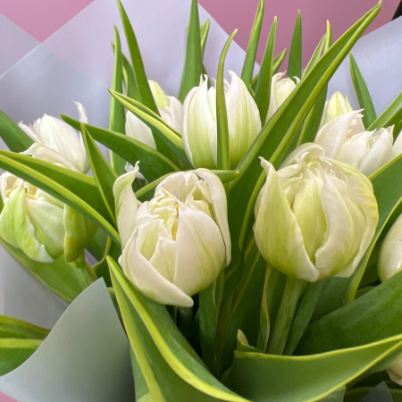 Buchet din 21 Lalele Roz Albe [2]