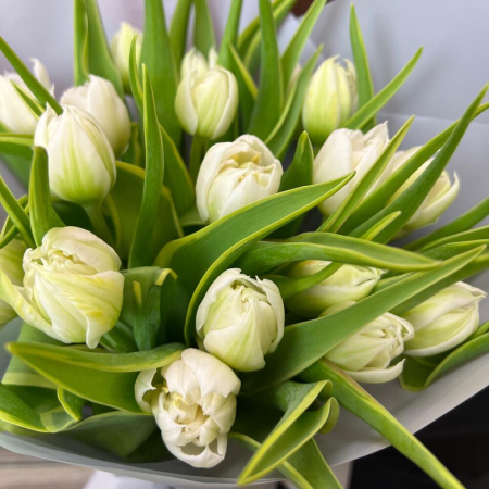 Buchet din 21 Lalele Roz Albe [1]