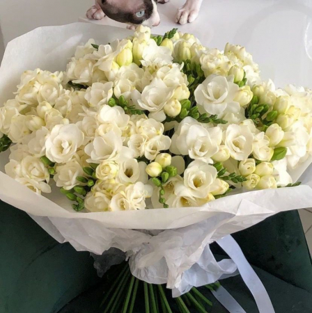 Buchete din Frezii - Buchet din 31 Frezii Albe