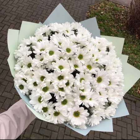 Buchete din Crizanteme - Buchet din 9 Crizanteme Albe