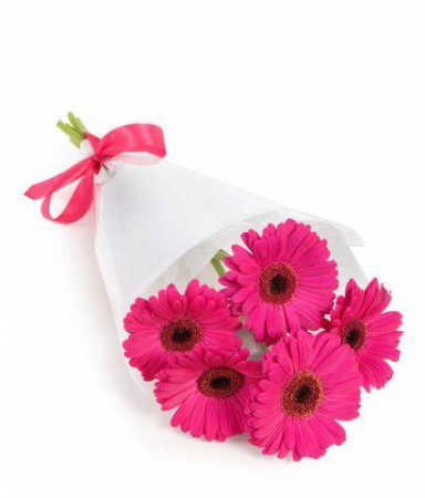 Ocazii - Buchet din 5 Mini-Gerbera Fuchsia de Sf. Maria