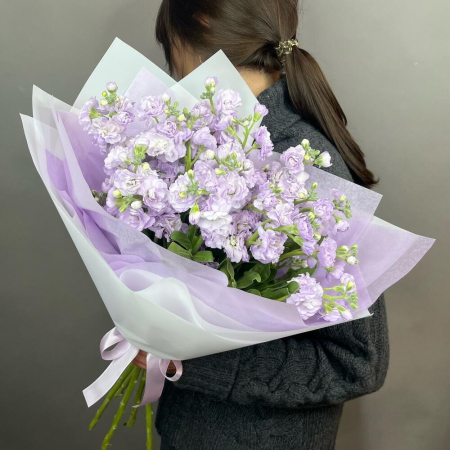 Ocazii - Buchet din 5 Mixandre Mov (Matthiola)