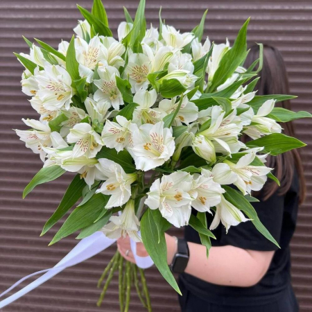 Buchet din 19 Alstroemeria Albe [1]