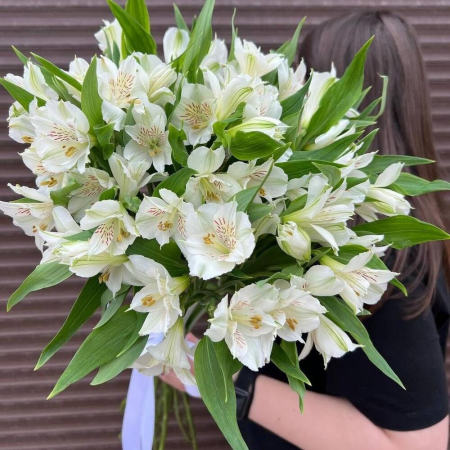 Buchete din Alstroemeria - Buchet din 19 Alstroemeria Albe