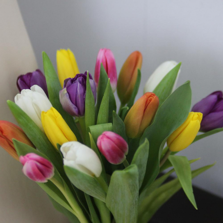 Buchet din 15 Lalele Multicolore [2]