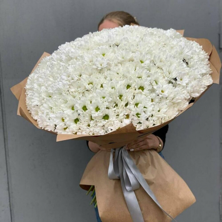 8 Martie - Buchet din 101 Crizanteme Albe
