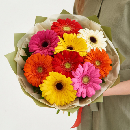 Buchete din Gerbera - Buchet din 9 Gerbere Multicolore București