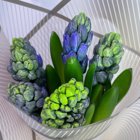 Buchet din Zambile (5 Fire) [1]