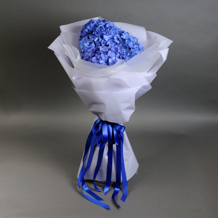 Buchete pentru Școală - Buchet de hortensii "Indigo"