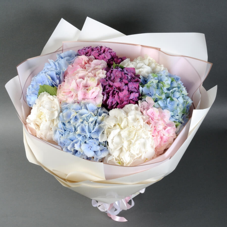 Buchete din Hortensie - Buchet de 11 mix de hortensii