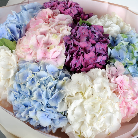 Buchet de 11 mix de hortensii [1]