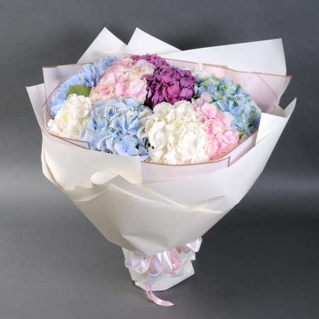 Buchet de 11 mix de hortensii [2]