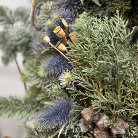 Coroniță din Brad Nobilis cu Conuri [2]