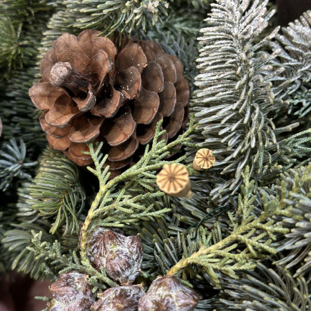 Coroniță din Brad Nobilis cu Conuri [1]