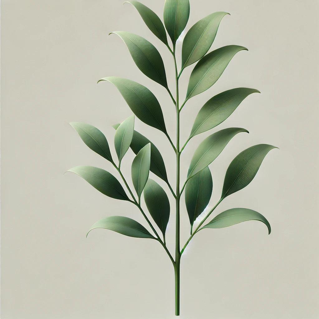 Crearea Propriului Buchet de Flori - Ruscus Italian