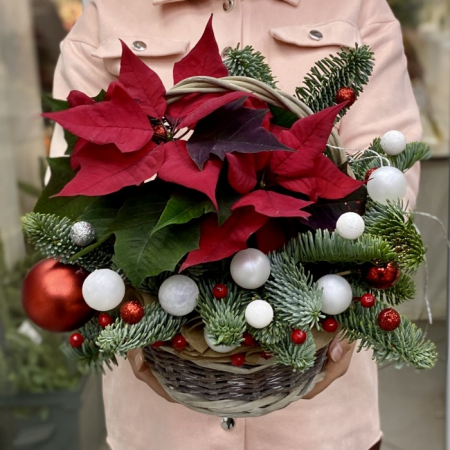 Crăciunițe - Aranjament de Crăciun în Coș cu Crăciuniță și Brad Nobil