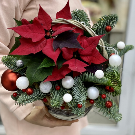 Aranjament de Crăciun în Coș cu Crăciuniță și Brad Nobil [2]