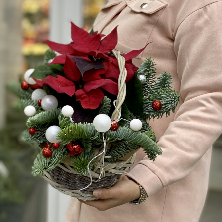 Aranjament de Crăciun în Coș cu Crăciuniță și Brad Nobil [3]