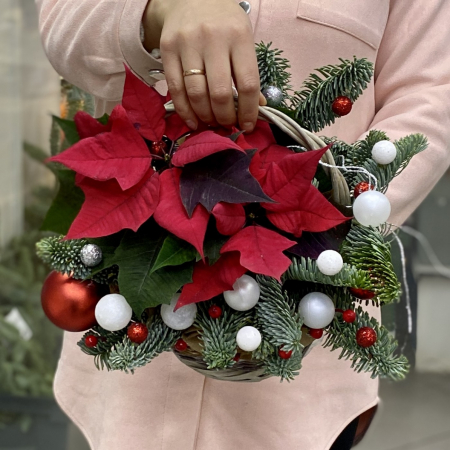 Aranjament de Crăciun în Coș cu Crăciuniță și Brad Nobil [1]