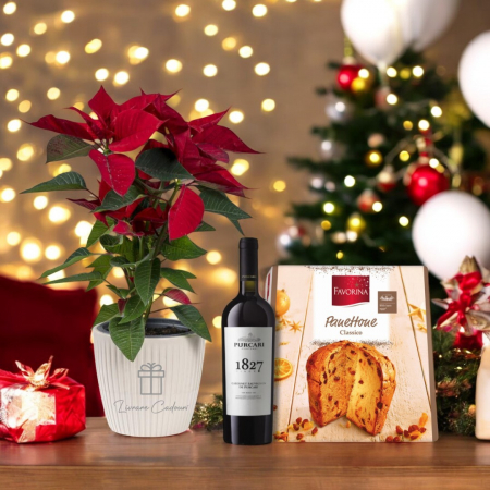 Ocazii - Set cu Crăciuniță, Vin Roșu și Panettone Favorina