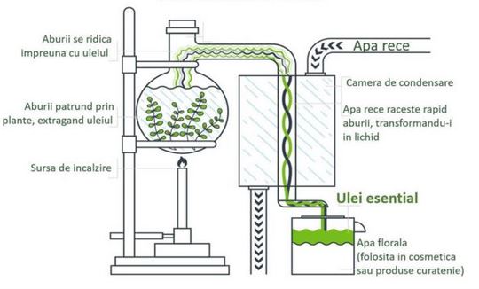 Procesul de distilare la abur, explicat sintetic